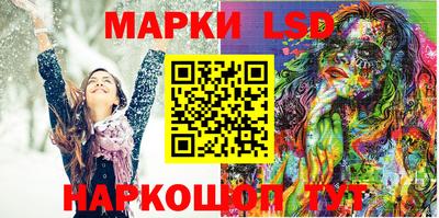 гидропоника Краснознаменск