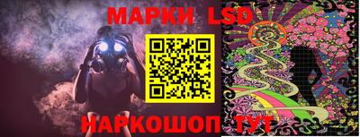 гидропоника Краснознаменск