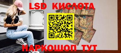 гидропоника Краснознаменск
