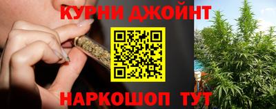 гидропоника Краснознаменск