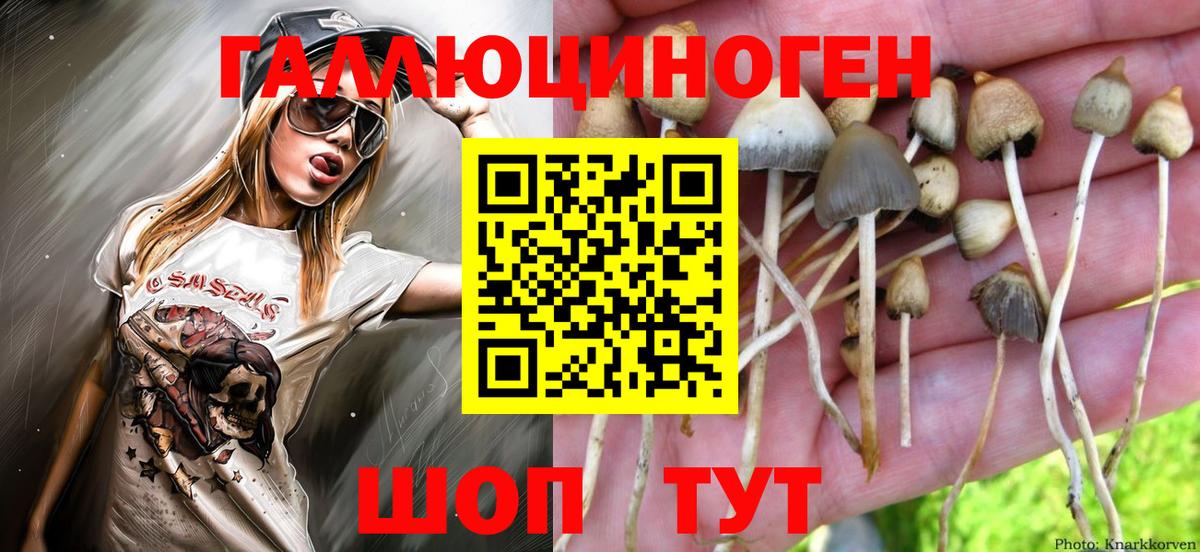 Галлюциногенные грибы мухоморы  Галлюциногенные грибы мицелий  купить наркотики сайты  Кириши  Вход с VPN 