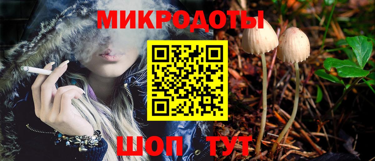 Псилоцибиновые грибы Cubensis Кириши